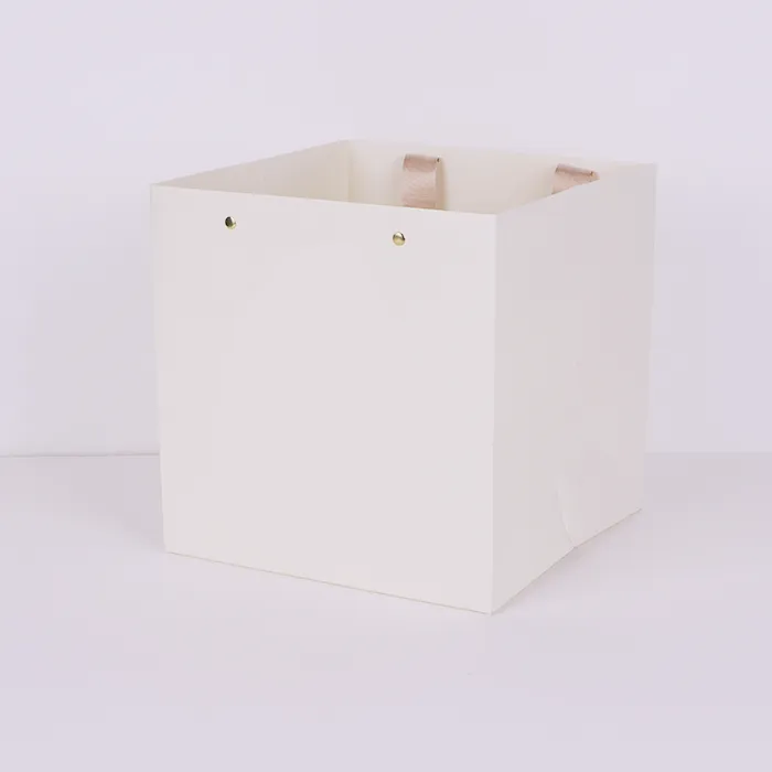 लक्जरी पेपर बैग